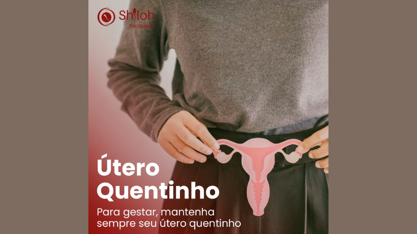 Fertilidade começa no cérebro — como detalha Oluwatosin Tolulope Ajidahun ao tratar da neuroendocrinologia.


