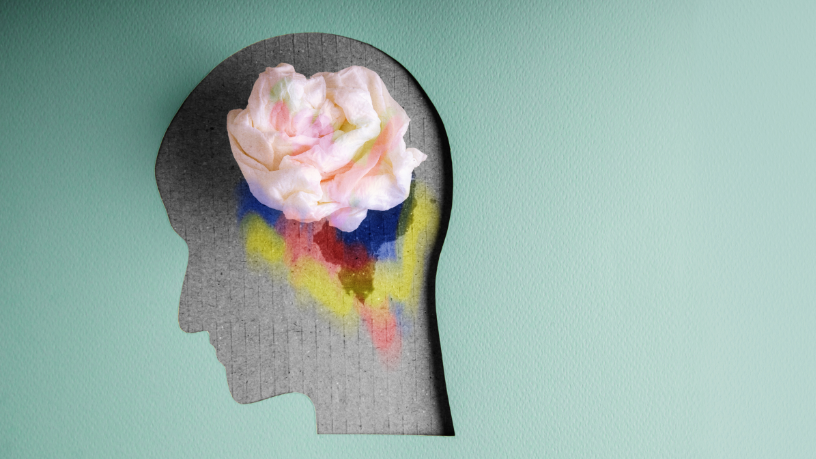 A compreensão de por que o TOD é frequentemente confundido com TDAH, autismo e ansiedade se torna mais acessível quando Alexandre Costa Pedrosa evidencia os limites entre cada condição.